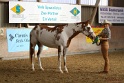 23-APHA SS_080